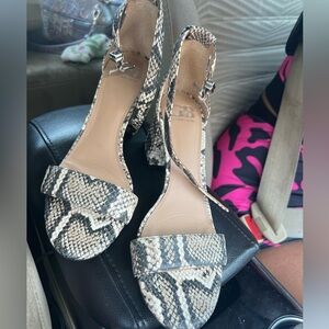 Snakeskin